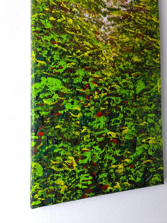 Nice Forest 1