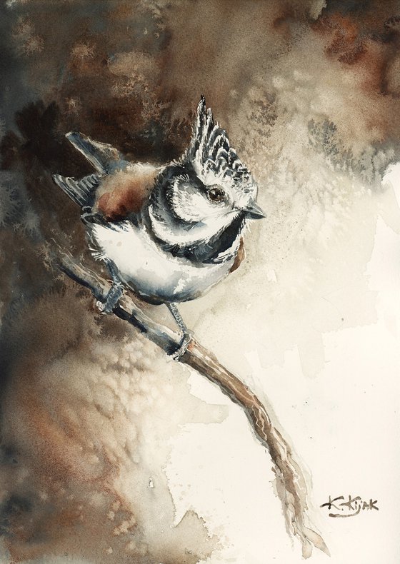 Crested tit, wildlife, birds watercolours