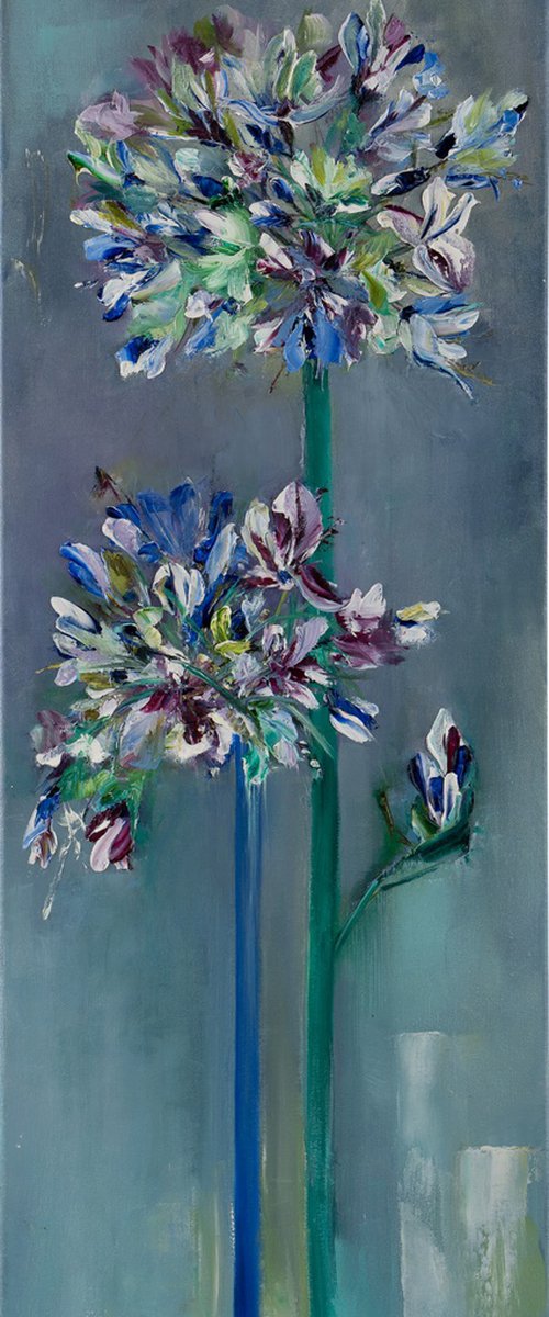 AGAPANTHUS, Oil on canvas panel by Svetlana Caikovska