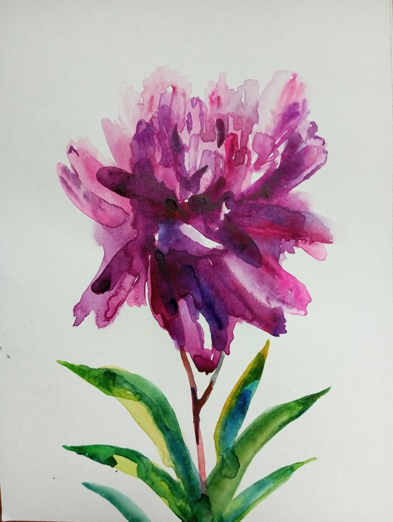 JUNE NATURE 2023 /2