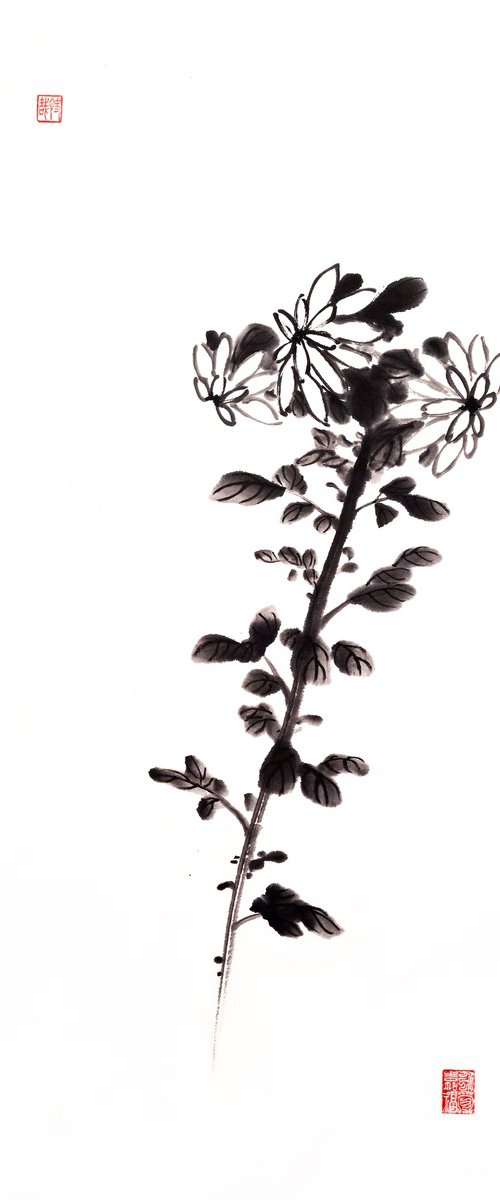 Chrysanthemum flower- Oriental Chinese Ink Painting by Ilana Shechter