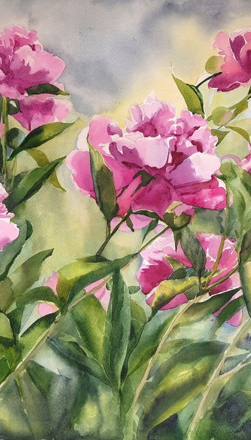 PINK PEONIES#5 by Yurii Pashkov