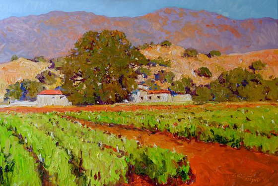 Southern California Vineyards