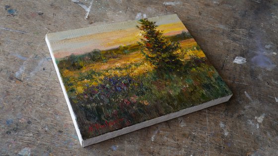 At sunset - sunny landscape painting