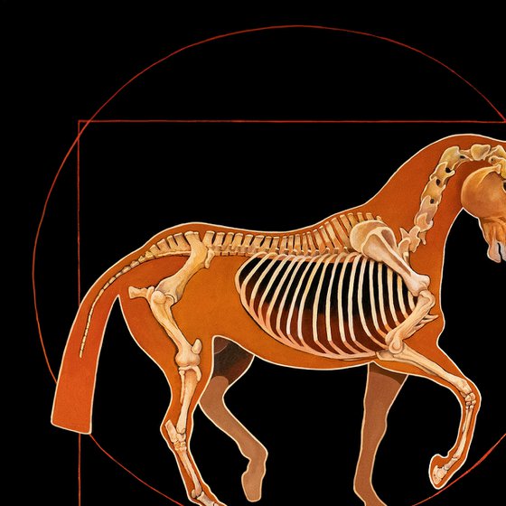 DaVinci Horse: The Piaffe Revealed