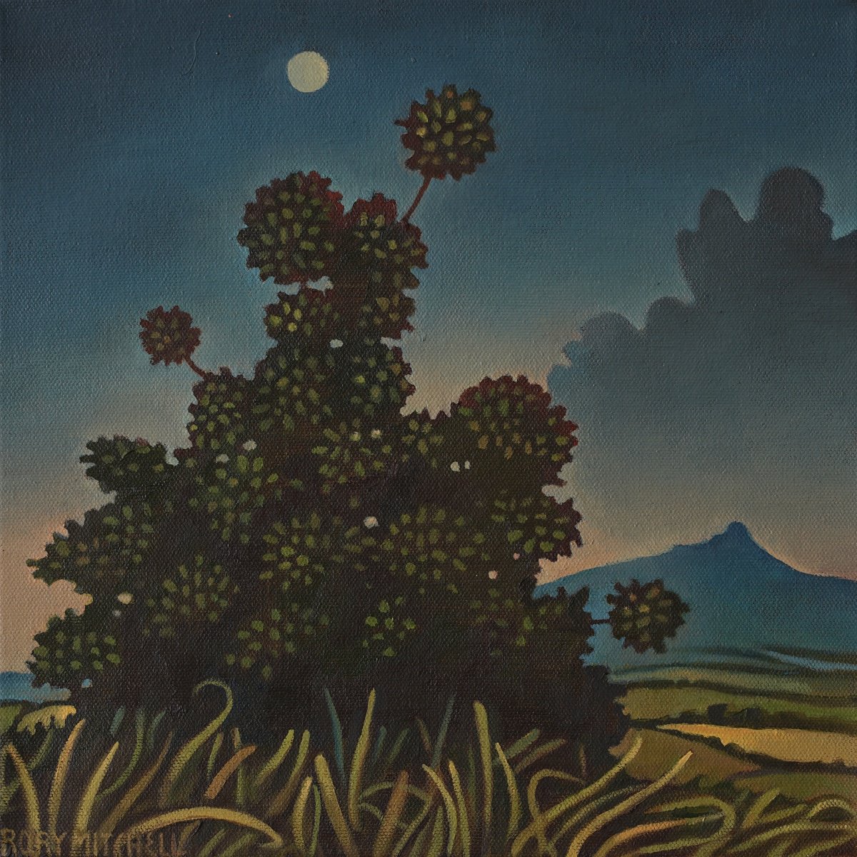 Naive Oil Painting , Adventurous Tree By Rory Mitchell, 12 X 12, Artwork For Sale On Artfinder