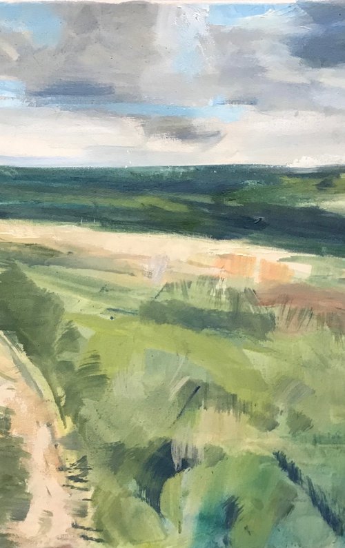 Footpath by Sandra Haney