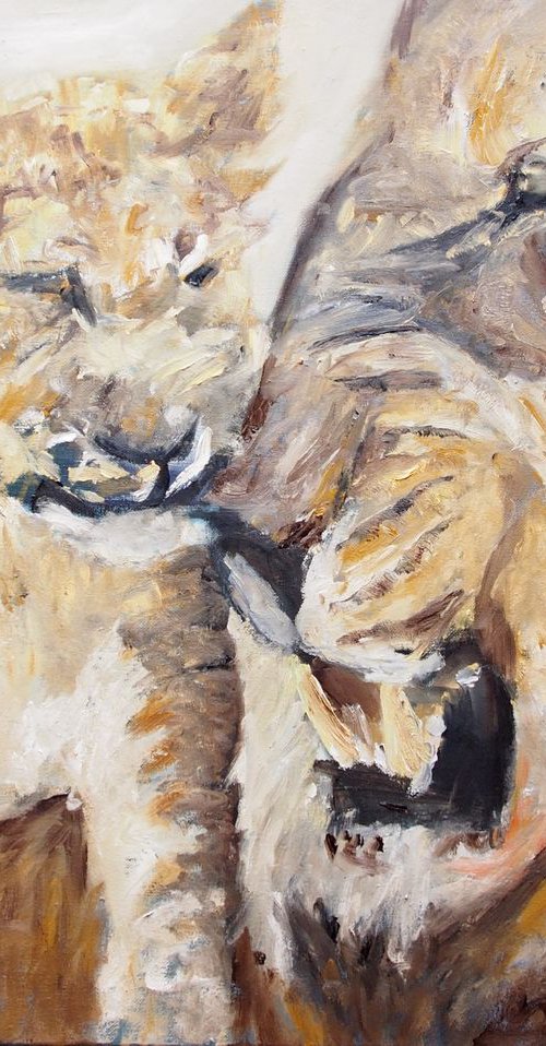 Lion by Ryan  Louder