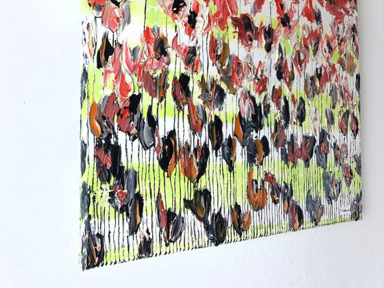 Poppy Flowers 2
