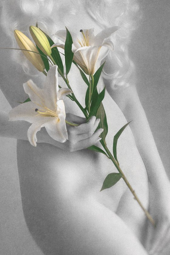 Lily II. - Art Nude