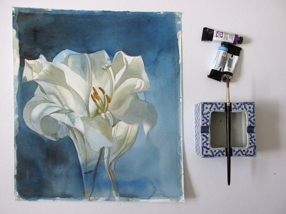 white lily in blue