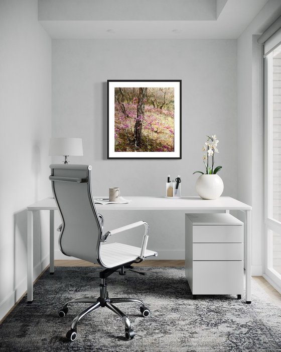 SPRING IN THE FOREST