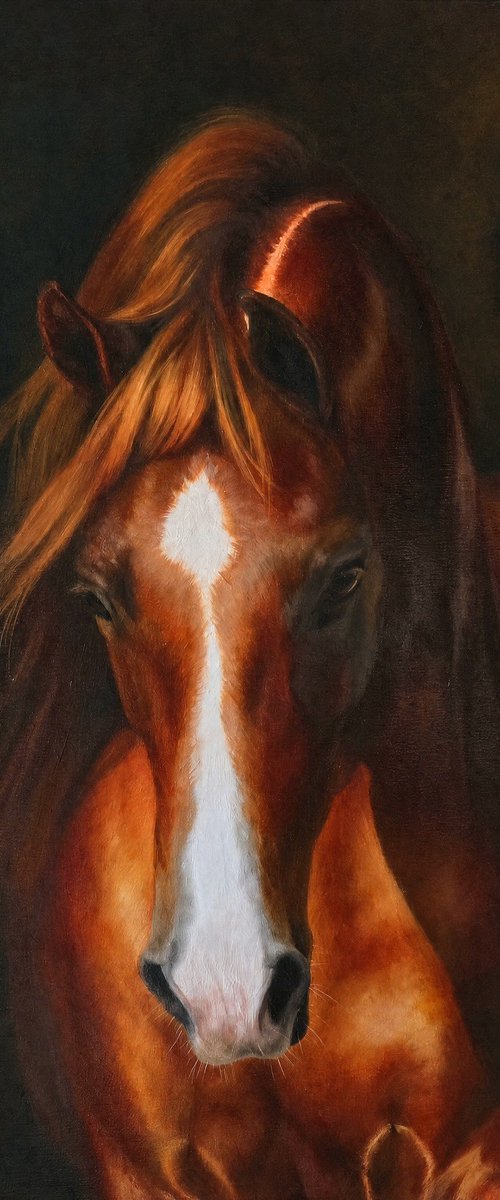 Red tenderness. by Anna Bessonova (Kotelnik)