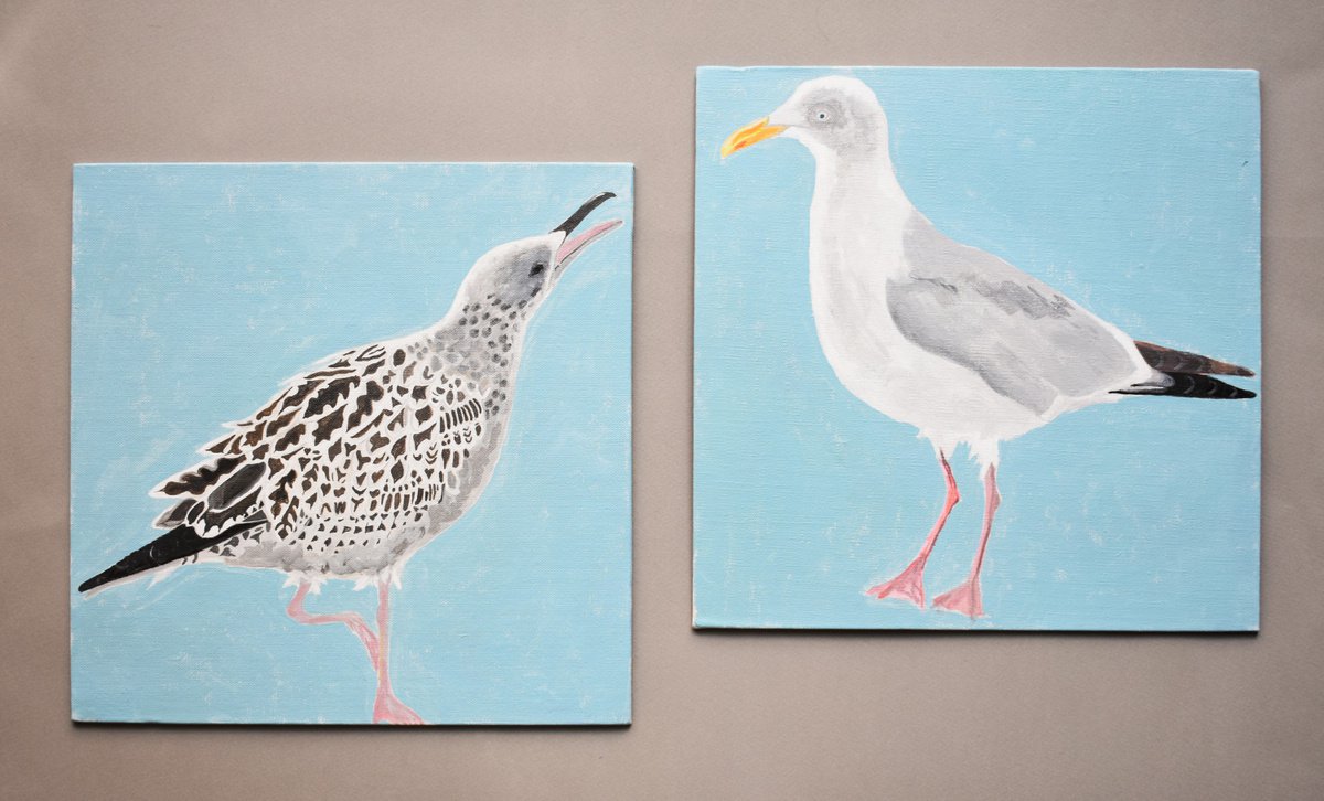 Two Herring Gulls by Alison Deegan
