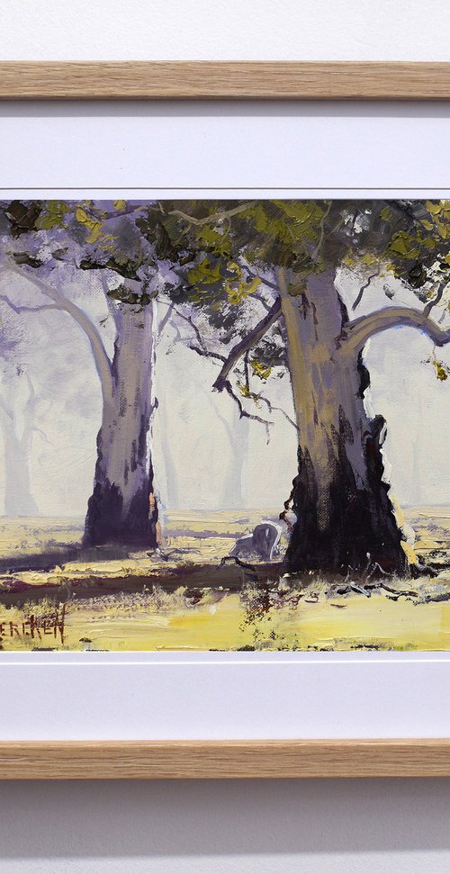 Australian Landscape with Gum trees by Graham Gercken