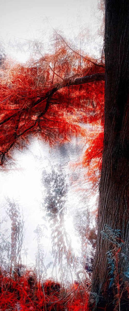 The Red Tree III by Neil Hemsley