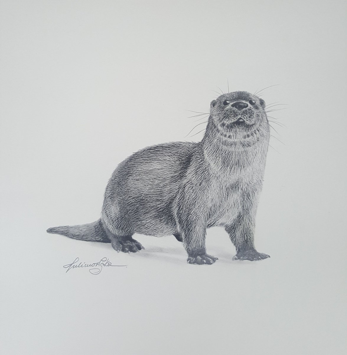 Otter by Maja Tulimowska - Chmielewska