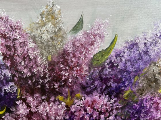 Magic of Lilacs