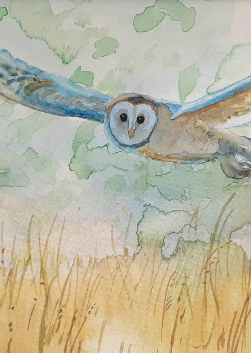 Barn Owl by Lisa Mann