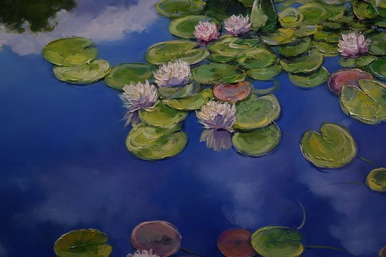 "Water lilies on the water"