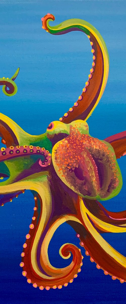 Ollie the Rainbow Octopus by Tiffany Budd