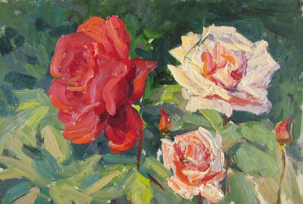 Roses by Viktoriia Pidvarchan