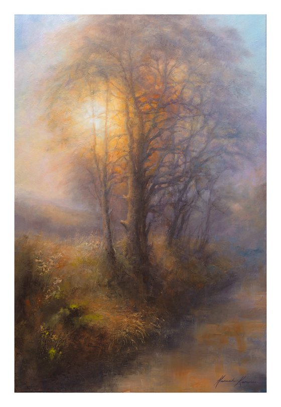 A Winters Sun Setting Through Bare Branches