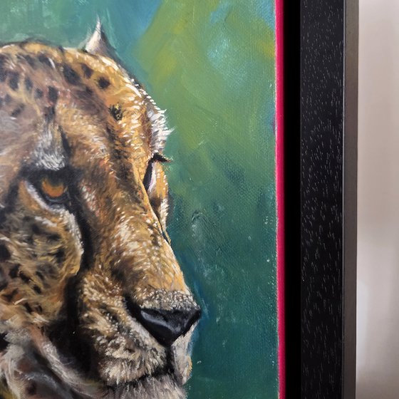Leopard of Disdain (2025)