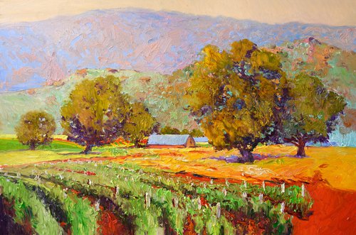 California Vineyards by Suren Nersisyan