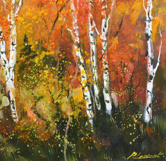 Aspen trees in autumn   76