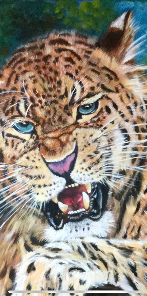 Leopard , wild cat by Olga Koval