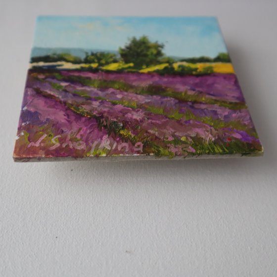 Lavender Field and Trees