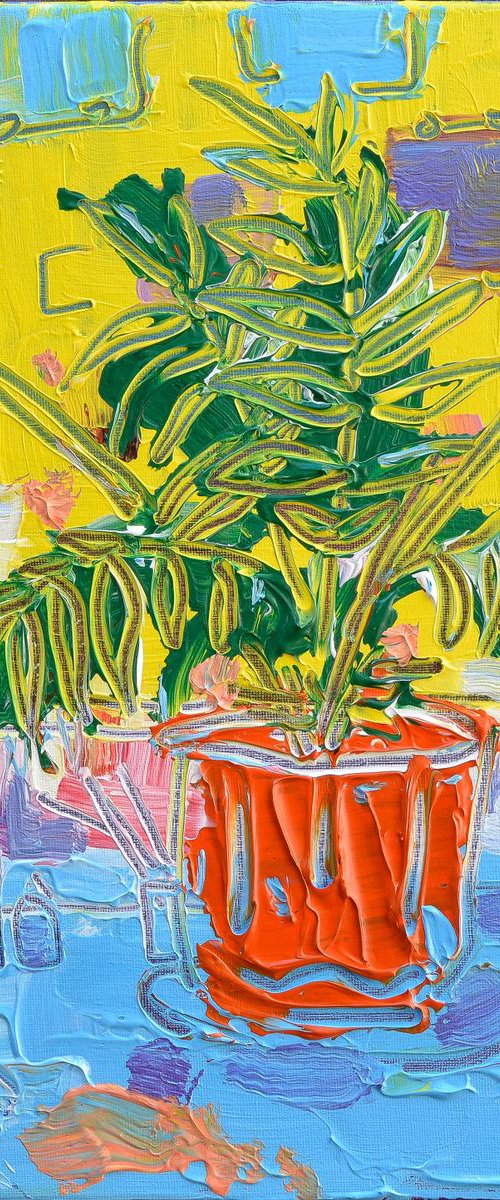 Areca Palm by Joseph Villanueva