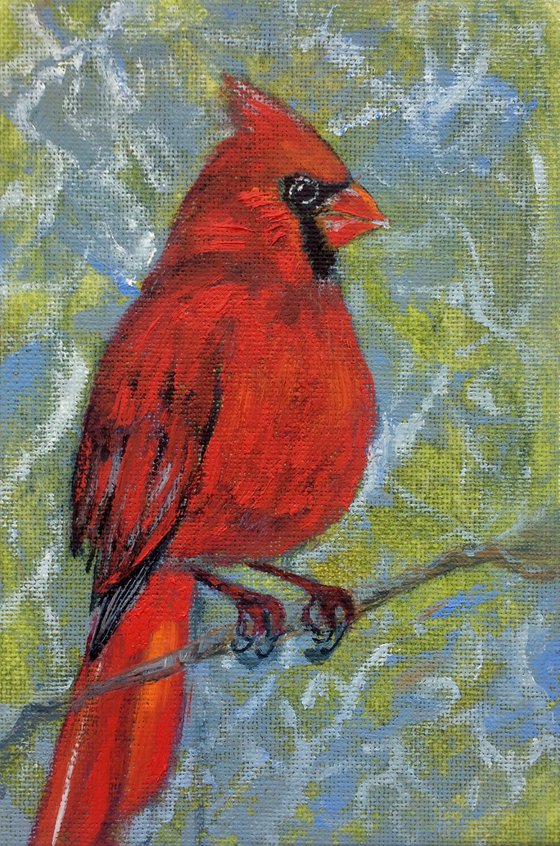 Bird oil painting - Red cardinal small canvas - Christmas gift for bird lover.