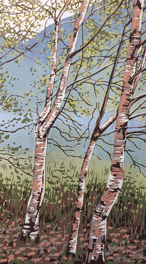 Grasmere Birches by Alexandra Buckle