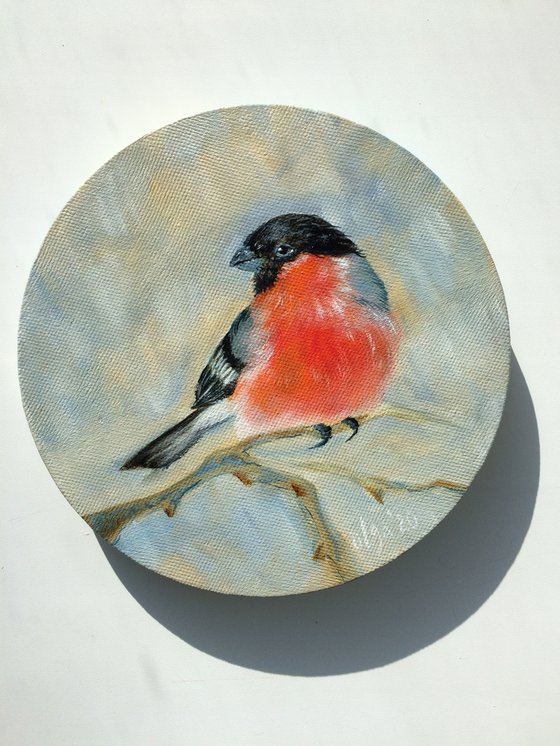 Bird portrait - Bullfinch small round canvas - Christmas gift for bird lover