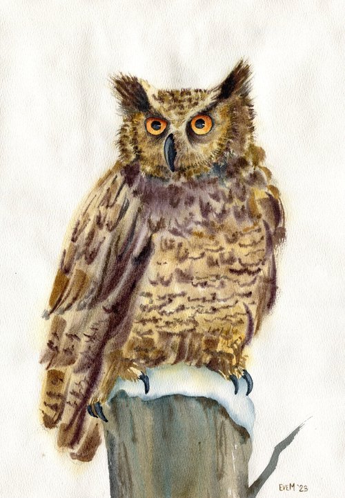 Watercolor portrait of an owl. Eagle owl. Animalism. Original watercolor. by Evgeniya Mokeeva