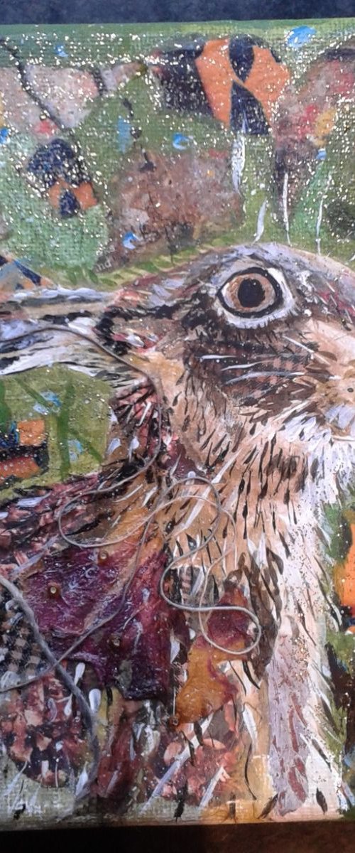Autumn Hare by Fiona Plaisted