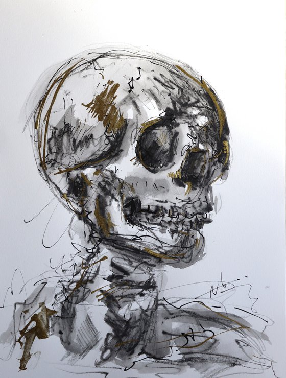 Skull series