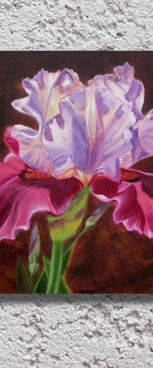 Red-purple Iris. Flowers. Still life by Ira Whittaker