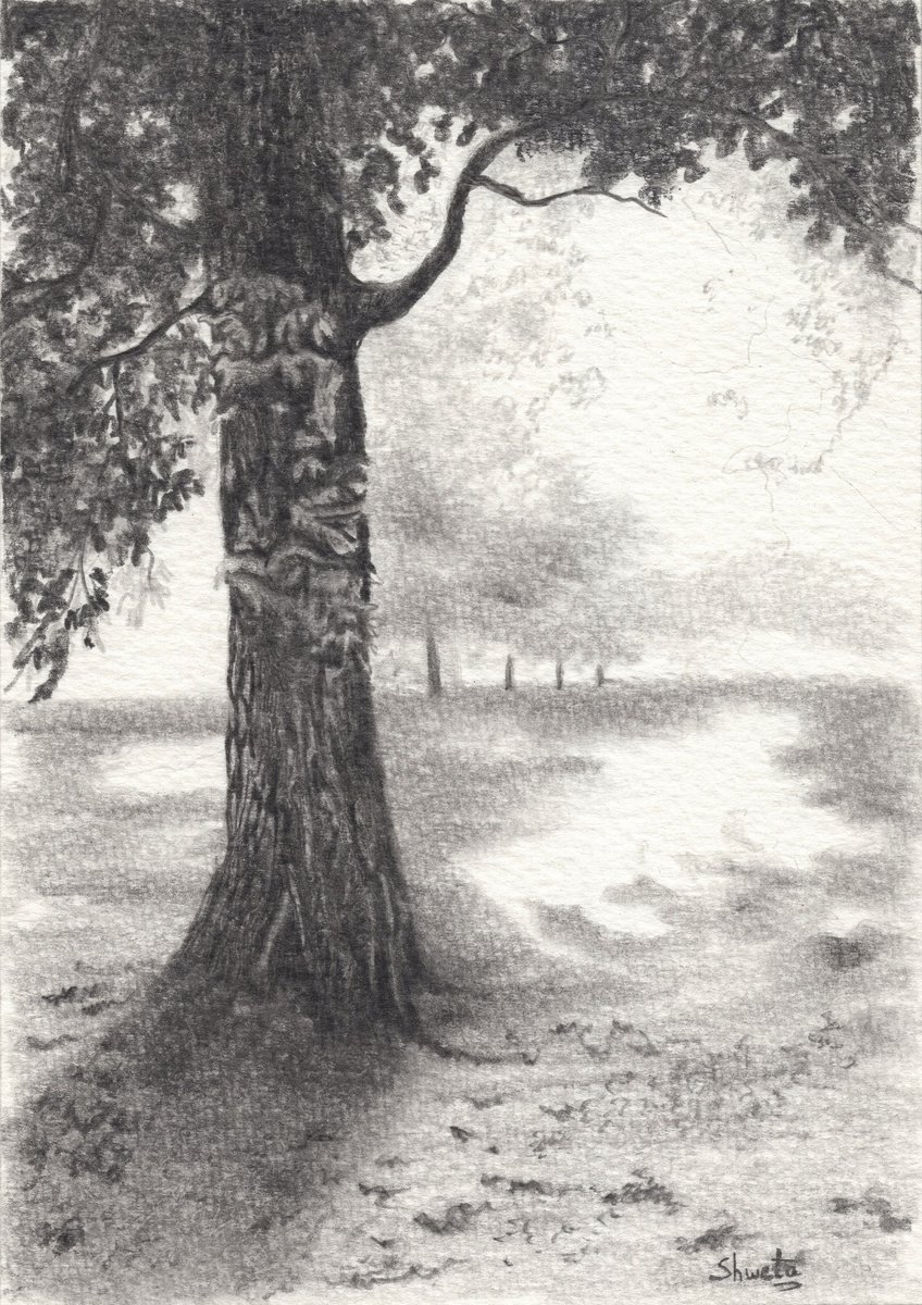 Tree Charcoal Sketch by Shweta Mahajan