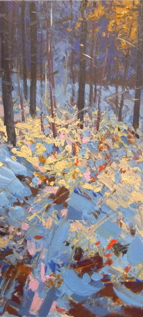 winter forest by Sergey  Kachin