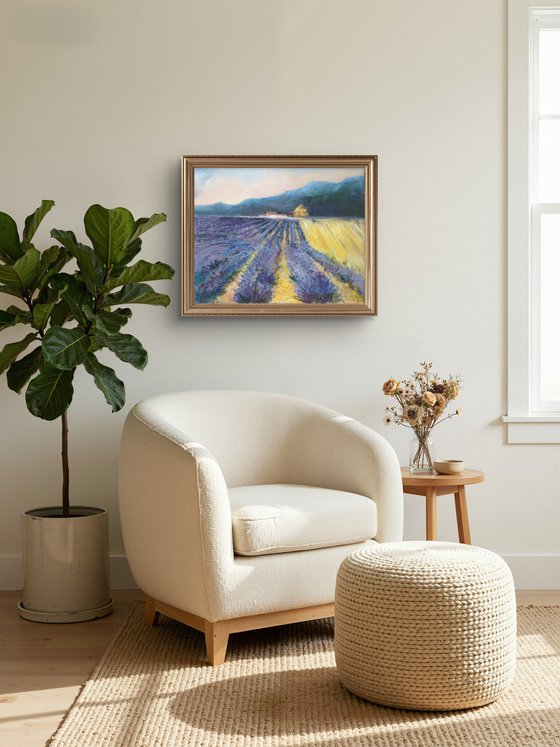 French Lavender Fields