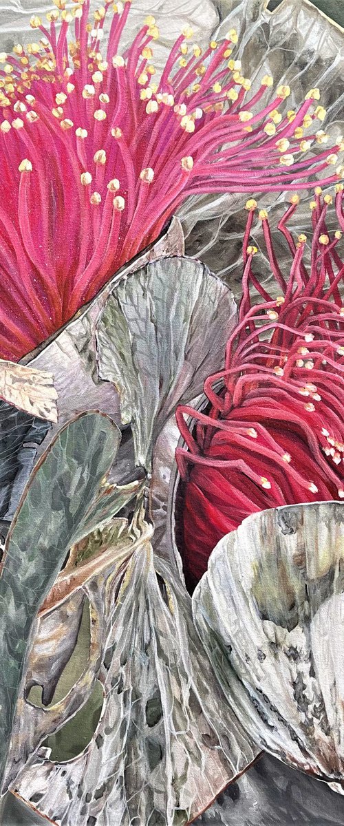 Toast Loves - Eucalyptus Macrocarpa by HSIN LIN