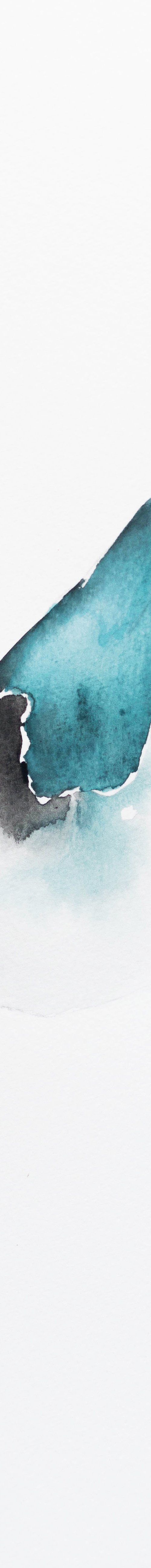 Bird by Nadia Moniatis