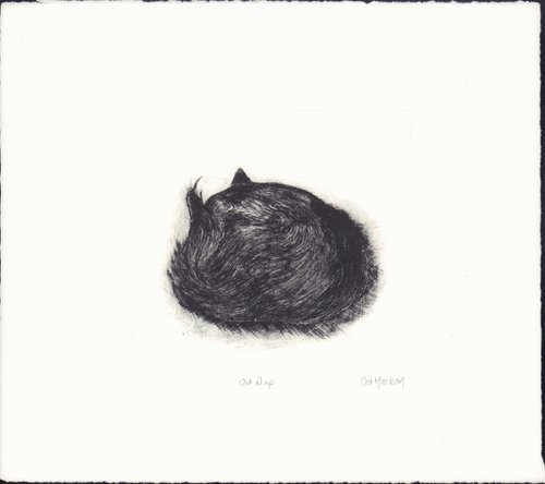 Cat Nap by Cat Maclean
