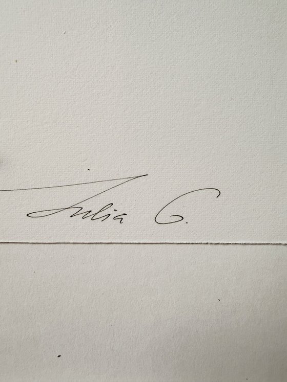 Red sweet pea (Fragrant Summer)