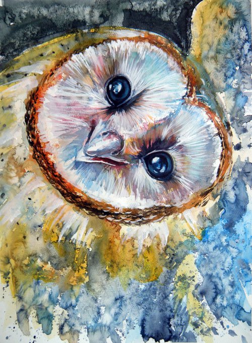 Barn owl by Kovács Anna Brigitta