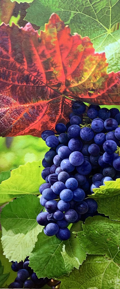 Photorealism oil painting:grape with leaves by Kunlong Wang