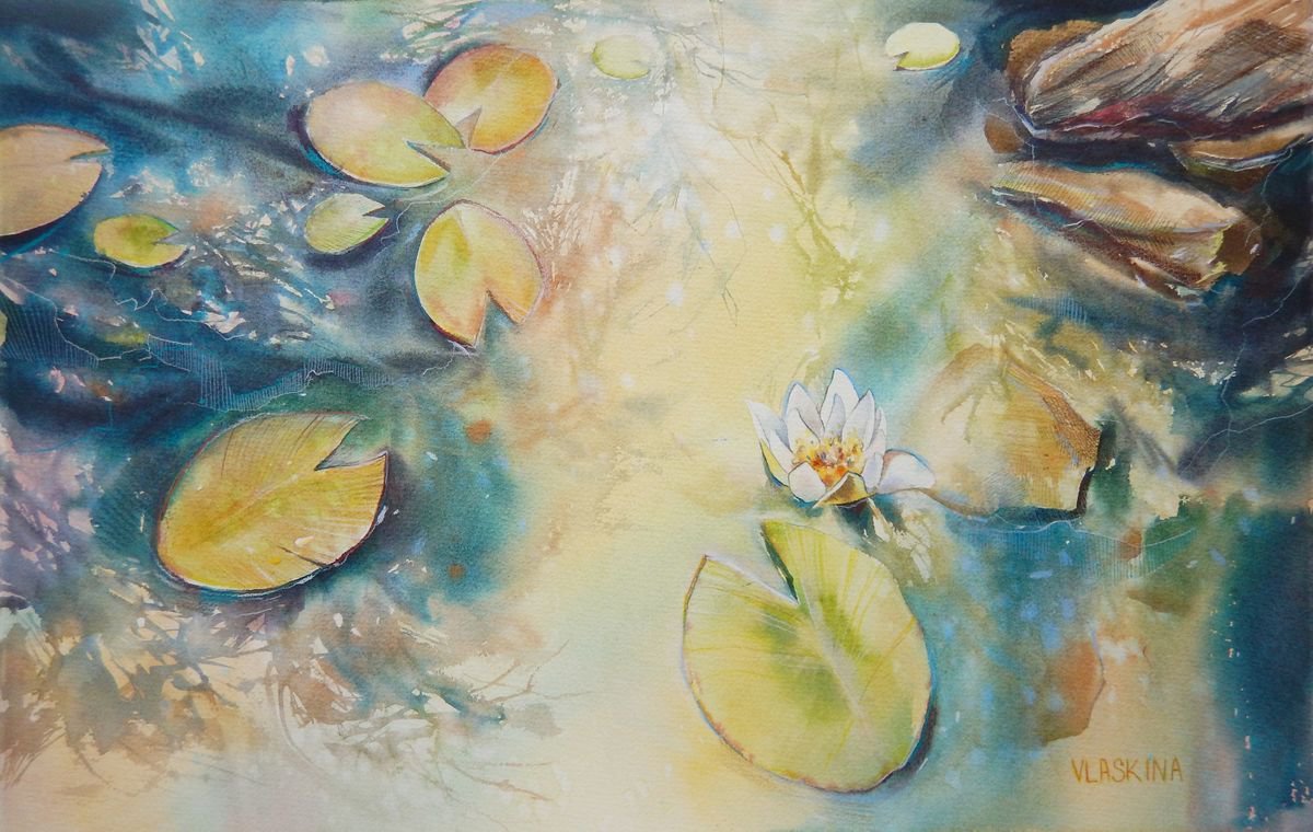 Lily pond by Alla Vlaskina